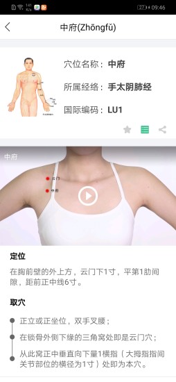 经络穴位图解APP